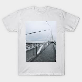 Milwaukee Art Museum Grey Skies T-Shirt